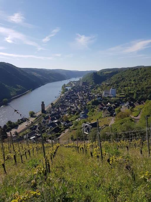 Wohnen Am Schoenen Mittelrhein Weltkulturerbe Oberwesel Εξωτερικό φωτογραφία